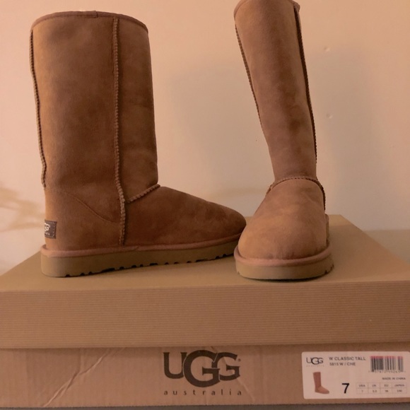 UGG Shoes - Ugg’s Classic Tall Women’s boots. New in box. Hologram tag. Size 7. 5815 W/CHE